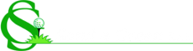 logo_sand_green.light.fw